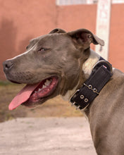 Cargar imagen en el visor de la galería, Collar de cinta reforzado  #2 razas medianas y cachorros razas grandes

