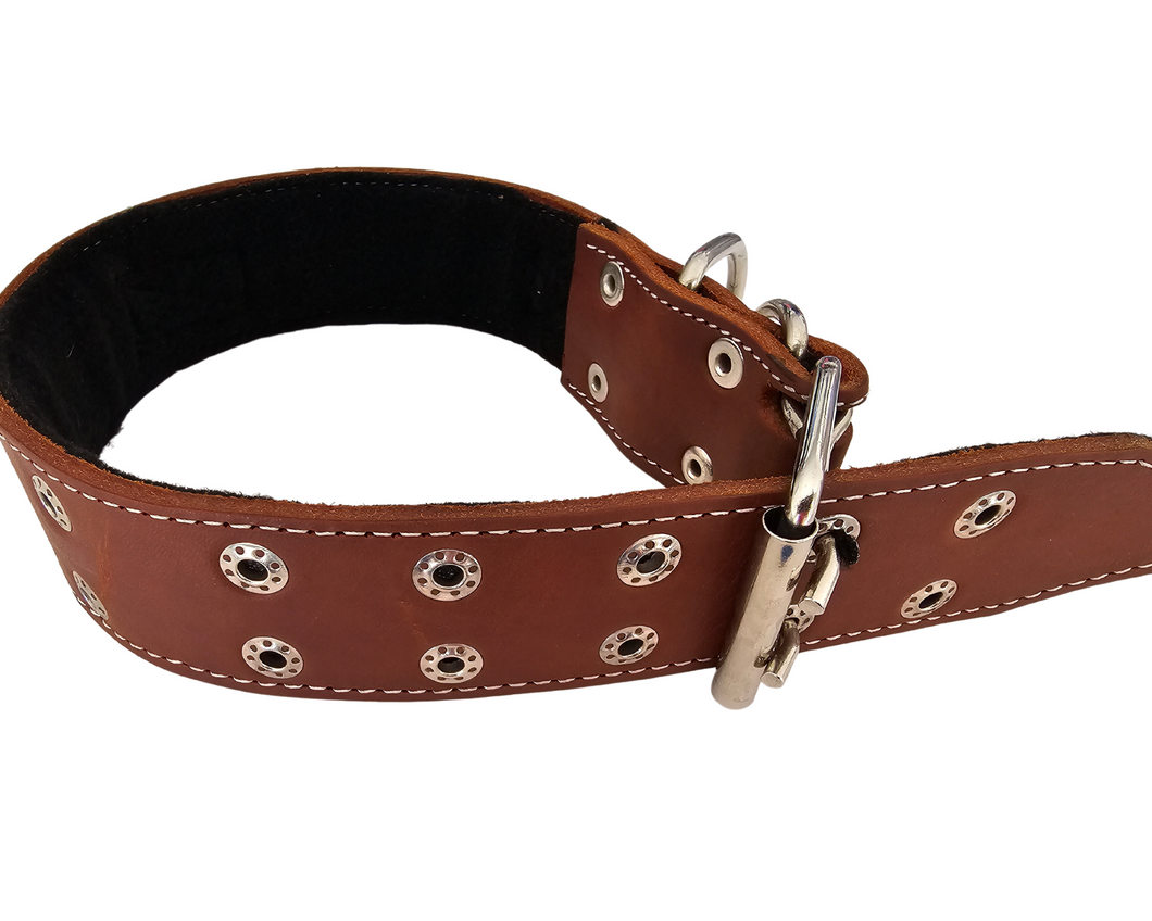 Collar de Intervención de Piel para Perros - Seguridad y Comodidad
