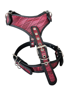 Pechera Grande para Perros - Diseño Elegante
