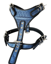 Cargar imagen en el visor de la galería, Pechera Grande para Perros - Diseño Elegante
