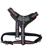 Cargar imagen en el visor de la galería, Pechera Huichol para Perros de 20-30 kg: Cinta Reforzada y Estilo Artesanal
