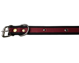 Collar Ajustable para Perros de Loneta No. 5 - 51 cm x 3.5 cm