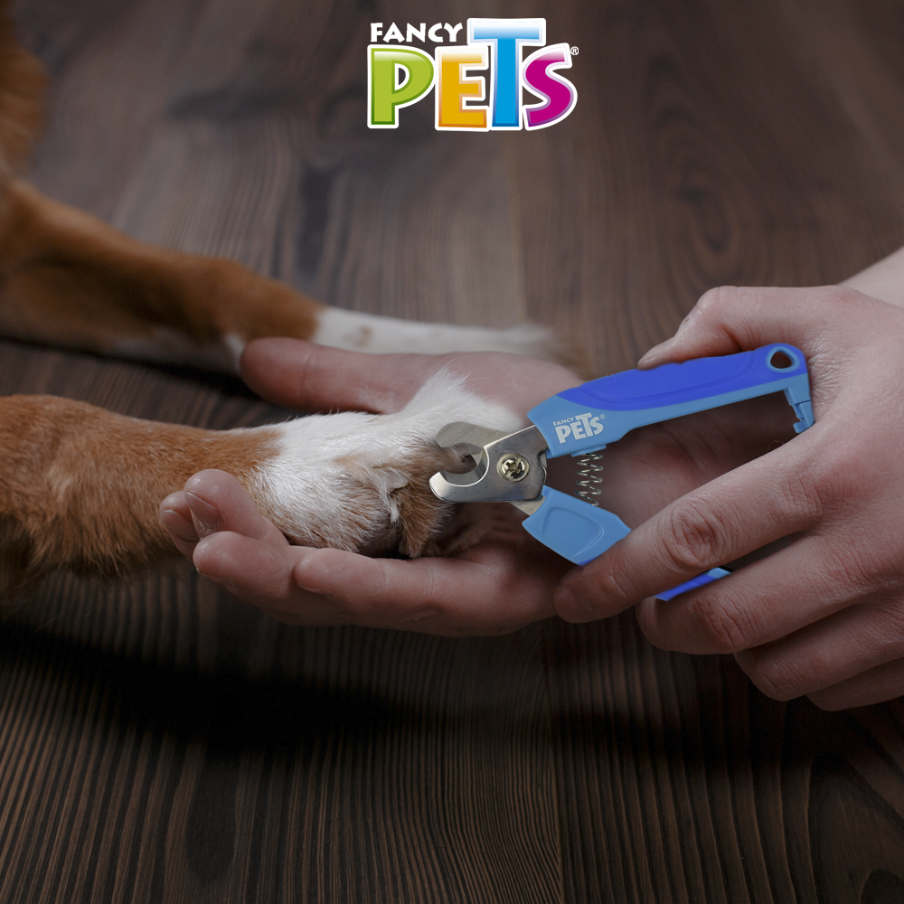 Corta uñas para perro  fancy pet
