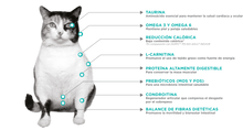 Cargar imagen en el visor de la galería, Nupec felino Weight Care
