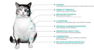 Nupec felino Weight Care