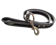 Cargar imagen en el visor de la galería, Correa de paseo para perros, loneta resistente
