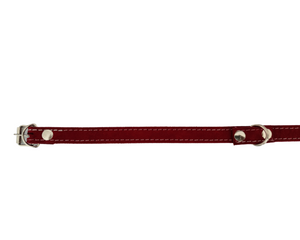 Collar de piel #3 perros medianos, pequeños y cachorros