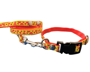 Collar con correa adornado chico