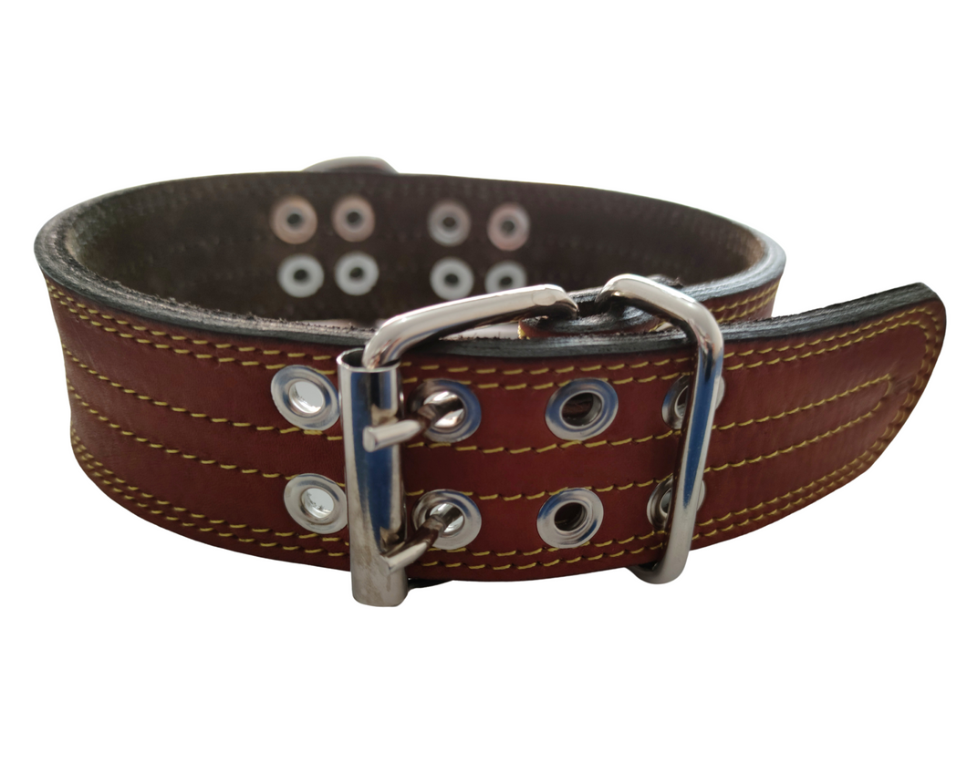 Collar de piel una argolla reforzado #1 60cm