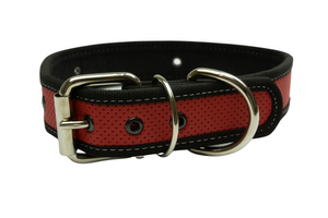 Collar para perro de Neón o loneta #6  60cm