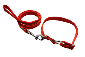Collar con correa para perros medianos y cachorros