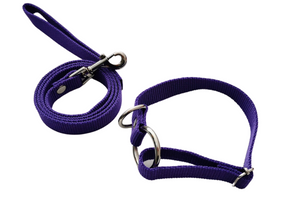 Collar con correa para perros medianos y cachorros