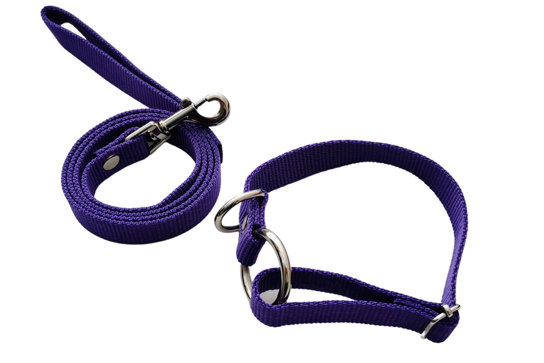 Collar con correa para perros medianos y cachorros
