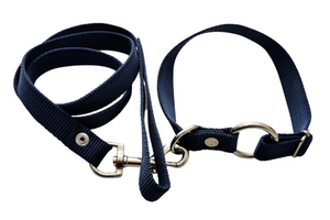 Collar con correa para perros medianos y cachorros