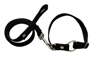 Collar con correa para perros medianos y cachorros