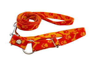 Collar mediano huesito con correa