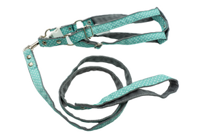 Pechera perritos con correa