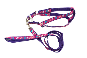 Pechera perritos con correa