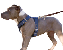 Cargar imagen en el visor de la galería, Pechera reforzada de cinta de seguridad #3 Perros Medianos a Grandes
