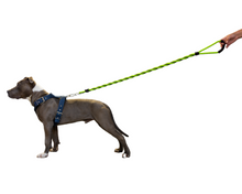 Cargar imagen en el visor de la galería, Correa Gruesa De Paseo Para Perros, Fuerte, Resistente.
