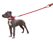 Cargar imagen en el visor de la galería, Correa Gruesa De Paseo Para Perros, Fuerte, Resistente.
