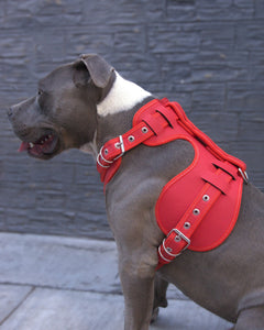 Pechera tipo tactica neon chica
