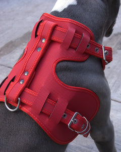 Pechera tipo tactica neon chica