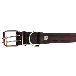 Collar de cinta reforzado  #1 razas medianas y cachorros razas grandes