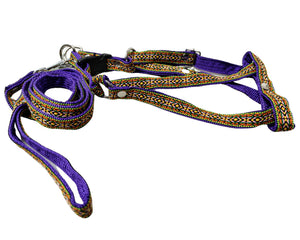 Pechera Huichol mediana con correa