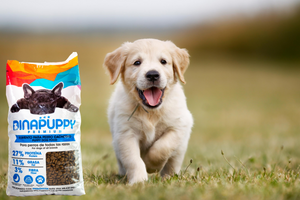 Croquetas Premium Cachorro Dinapuppy