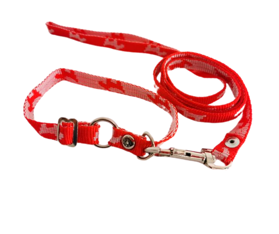 Collar con correa pequeña adornado perritos