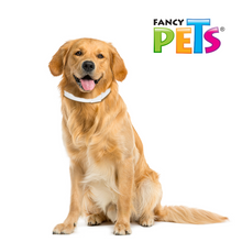 Cargar imagen en el visor de la galería, COLLAR ANTIPULGAS PARA PERRO MEDICAL SOLUTIONS RAZAS GRANDES
