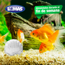 Cargar imagen en el visor de la galería, ALIMENTO FIN DE SEMANA
