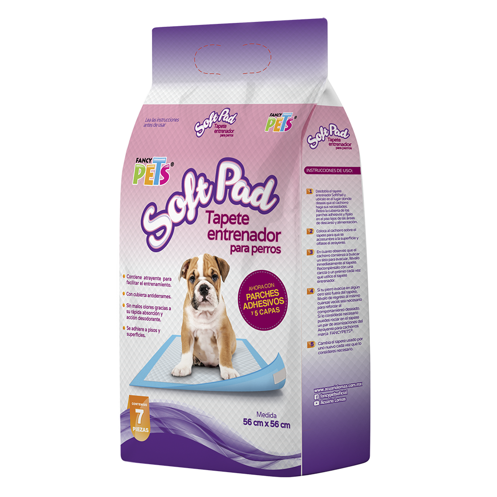 TAPETE ENTRENADOR (PADS)