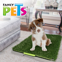 Cargar imagen en el visor de la galería, Tapete pasto sintetico DOGGIE GRASS Grande
