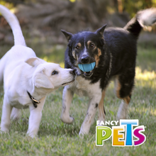 Cargar imagen en el visor de la galería, PELOTA PAWPY FETCH
