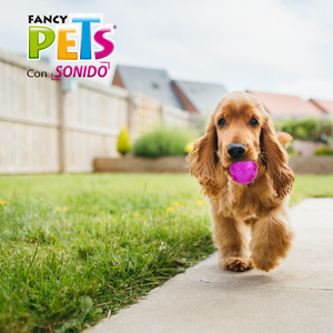 JUGUETE PELOTA PRISMA CON SONIDO CHICO