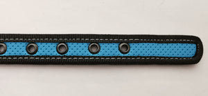 collar neon/loneta para perros pequeños y medianos