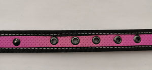 collar neon/loneta para perros pequeños y medianos
