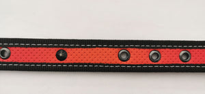 collar neon/loneta para perros pequeños y medianos