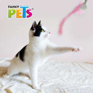 LAZO DE PELUCHE 25 CM