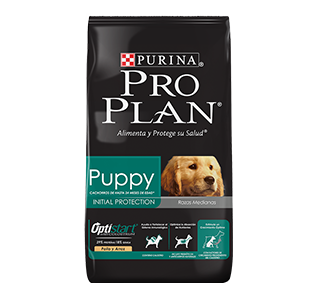 PUPPY RAZAS MEDIANAS