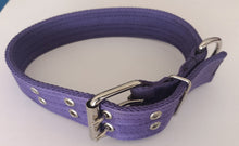 Cargar imagen en el visor de la galería, Collar de cinta reforzado  #2 razas medianas y cachorros razas grandes
