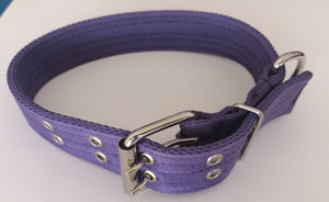 Collar de cinta reforzado  #2 razas medianas y cachorros razas grandes