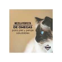 Cargar imagen en el visor de la galería, Diamond Maintenance Cat
