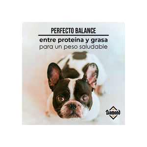 Diamond mantenimiento 18.14kg