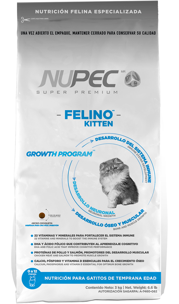 Nupec Felino kitten