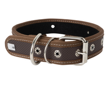 Cargar imagen en el visor de la galería, Collar para perro de Neón o loneta #6  60cm

