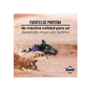 Diamond Adulto Premium para perros activos
