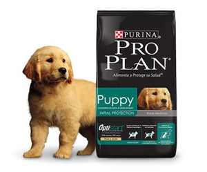 PUPPY RAZAS MEDIANAS